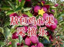 赤峰采摘園最新招聘電話號(hào)碼