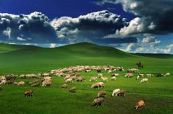 赤峰老四馬業(yè)電話號碼多少