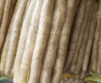 赤峰山藥代辦電話號(hào)碼查詢是多少