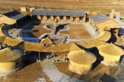 赤峰出售秧苗電話號(hào)碼查詢地址