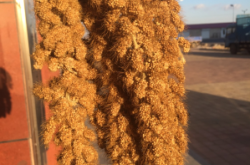 赤峰海達(dá)廣場小米店電話號碼