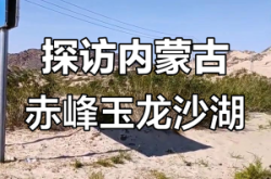 赤峰玉龍廚師學(xué)校電話號碼查詢