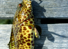 赤峰路亞釣魚點地址電話號碼