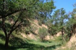 赤峰南山生態(tài)果園地址電話號碼