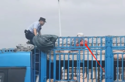 赤峰收拾豬頭電話號(hào)碼是多少