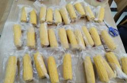 赤峰凍玉米批發(fā)廠家電話號碼