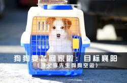 赤峰市狗狗托運(yùn)公司電話號(hào)碼