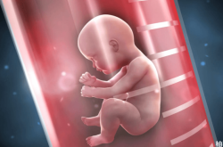 赤峰第四醫(yī)院張小鳳電話號碼