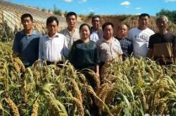 赤峰民兵招募網(wǎng)官網(wǎng)電話號碼