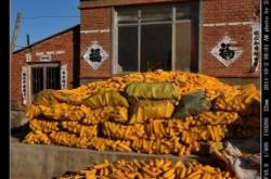 赤峰旺業(yè)甸服務(wù)區(qū)電話號碼