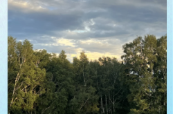 赤峰三胖烤肉店電話號(hào)碼