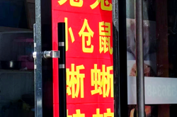 赤峰花鳥(niǎo)魚(yú)蟲(chóng)魚(yú)市場(chǎng)電話號(hào)碼