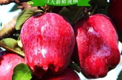 赤峰帝豪水果超市電話號碼