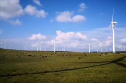 赤峰燈籠生產(chǎn)公司地址電話號碼