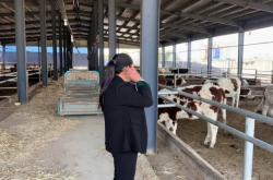 赤峰養(yǎng)?；匦∨Ｅl(fā)電話號碼