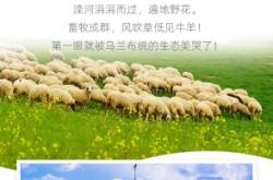 赤峰活驢交易市場電話地址查詢