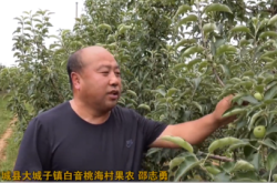 赤峰蔬菜供應(yīng)商電話地址查詢