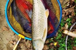 赤峰萬澤垂釣園電話地址查詢