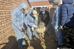 赤峰大板獸醫(yī)站電話地址查詢