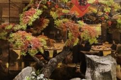 赤峰百姓廚房電話地址查詢