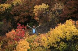 魯北到赤峰拼車電話號碼