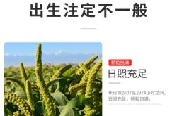 赤峰鳥糧谷子批發(fā)電話號(hào)碼