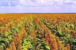 赤峰市敖漢旗中國黃金店電話號碼