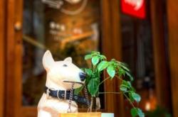 赤峰手工街在哪里啊電話號碼