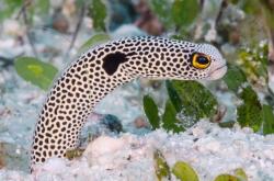 赤峰金橋市場(chǎng)水族館電話號(hào)碼