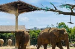 赤峰萬悅動物園電話號碼