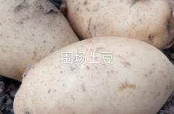 赤峰西城果蔬直銷處電話號(hào)碼