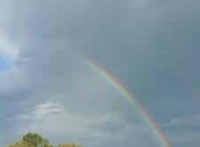 赤峰聚龍閣賓館電話號(hào)碼多少