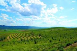 新林鎮(zhèn)去赤峰拼車(chē)電話號(hào)碼