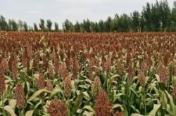 赤峰土地管理局電話號碼