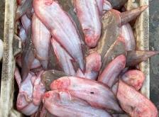 赤峰小寶凍貨電話多少號(hào)