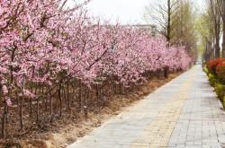 滑縣到赤峰直通車電話查詢號碼