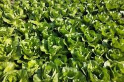 赤峰郵政助農(nóng)服務(wù)電話查詢號碼