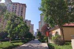 赤峰紅山區(qū)新區(qū)社區(qū)電話號(hào)碼