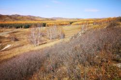 赤峰林西皮帶廠電話號(hào)碼