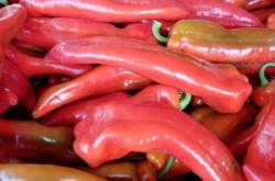 赤峰市紅辣椒出售電話號(hào)碼