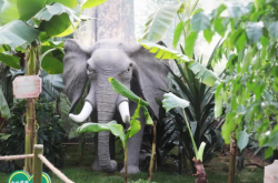 赤峰禾潤(rùn)農(nóng)業(yè)嘉年華電話號(hào)碼