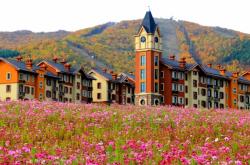 赤峰市喀喇沁旗審車電話號碼