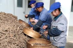 赤峰牛營子收購藥材電話