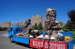 赤峰橋北綠植市場電話號(hào)碼