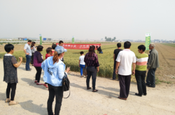 赤峰肥料農(nóng)資電話查詢號碼是多少