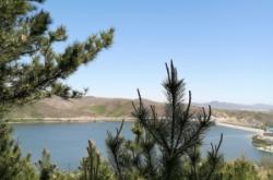 赤峰牛營(yíng)子水暖廠電話號(hào)碼