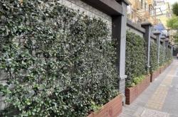 赤峰市新城花墻社區(qū)電話號(hào)碼