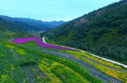 沈陽到赤峰虎躍訂票電話是多少