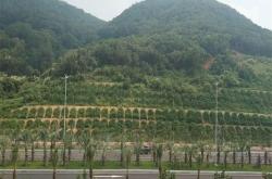 赤峰市賣草種的地方電話是多少