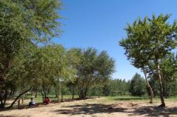 赤峰橋北修手機(jī)電話號(hào)碼